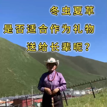 【青海果洛原产散装虫草足干现货产地直发量大丛】青海果洛