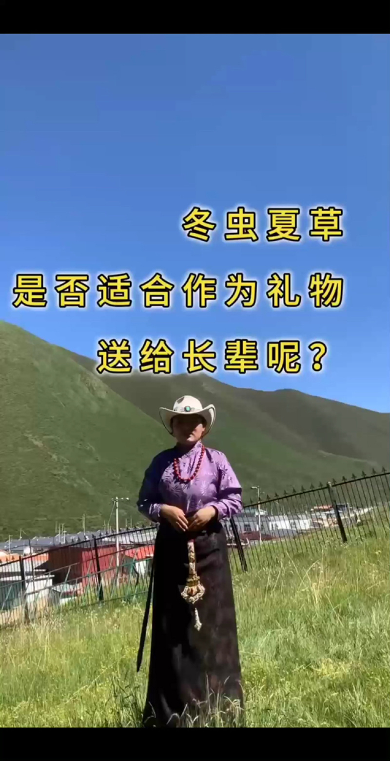 【青海果洛原产散装虫草足干现货产地直发量大丛】青海果洛