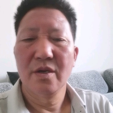 绿宝石/一级绿干/优质绿干/通货葡萄干各等级葡