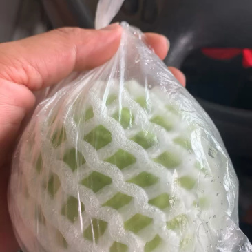 广西特色水果番石榴核心产区直供量大价优欢迎来电洽谈合作