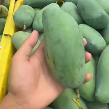 芒果不分级，统货