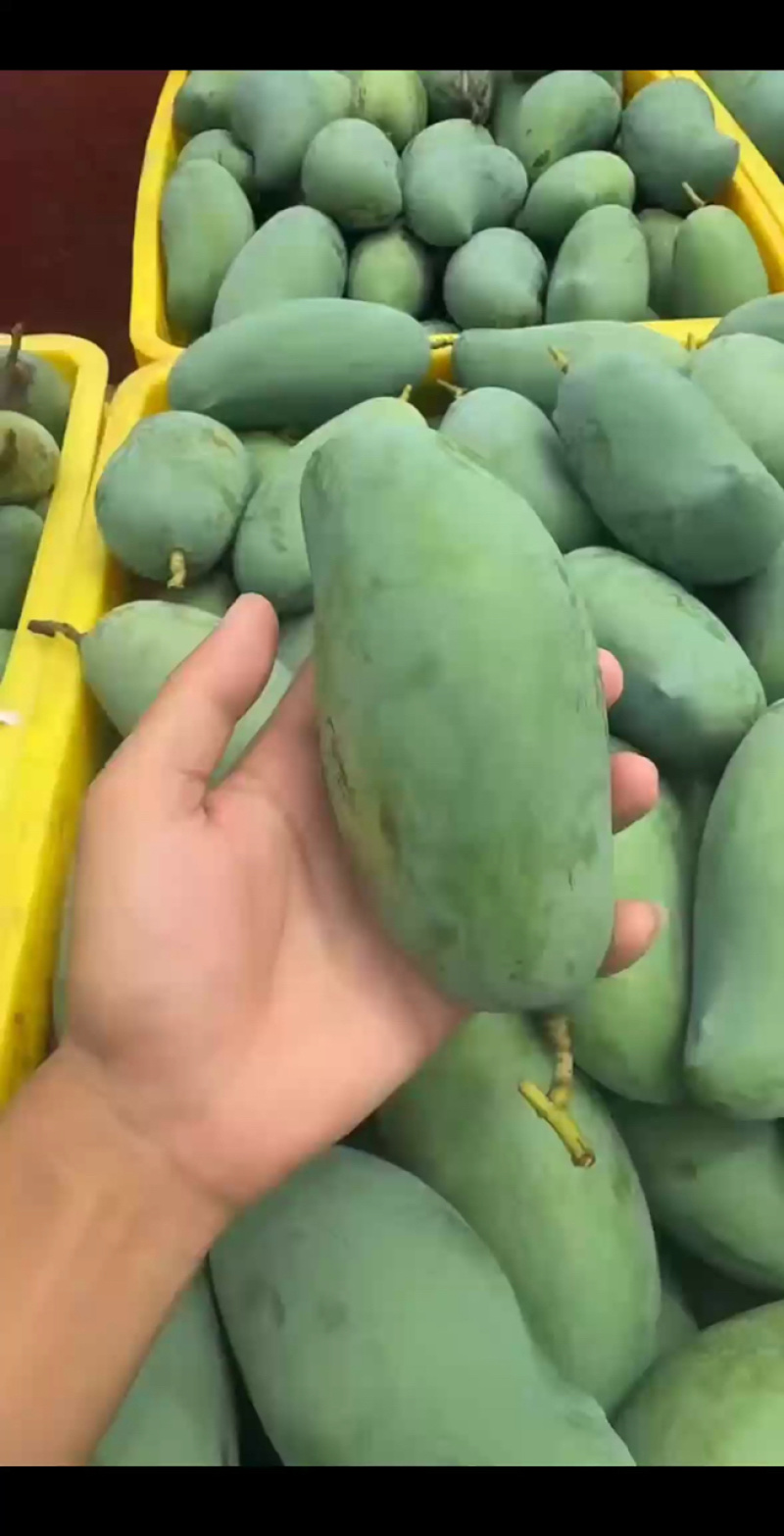芒果不分级，统货