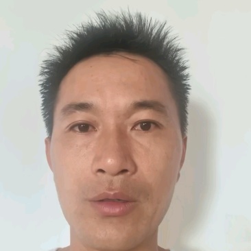 福建干海带头日晒宽头现货速发短叶海带头干货超厚口感软糯根