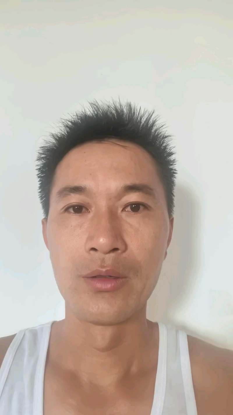福建干海带头日晒宽头现货速发短叶海带头干货超厚口感软糯根