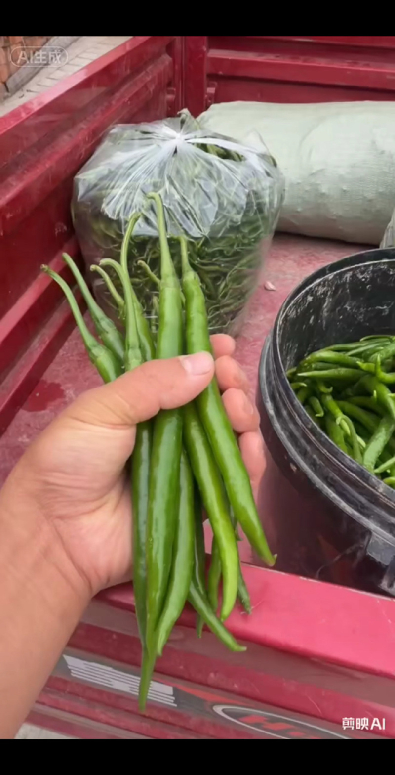 徽县线椒，精品3号椒，辣椒黑绿色，色好条形直欢迎来电