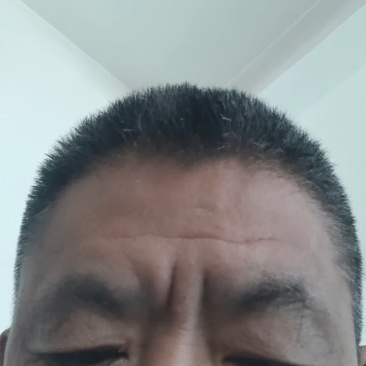 白豆王豆角