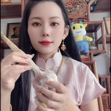 铁繁大蒜种子，祘迪基地原种蒜种，种类多