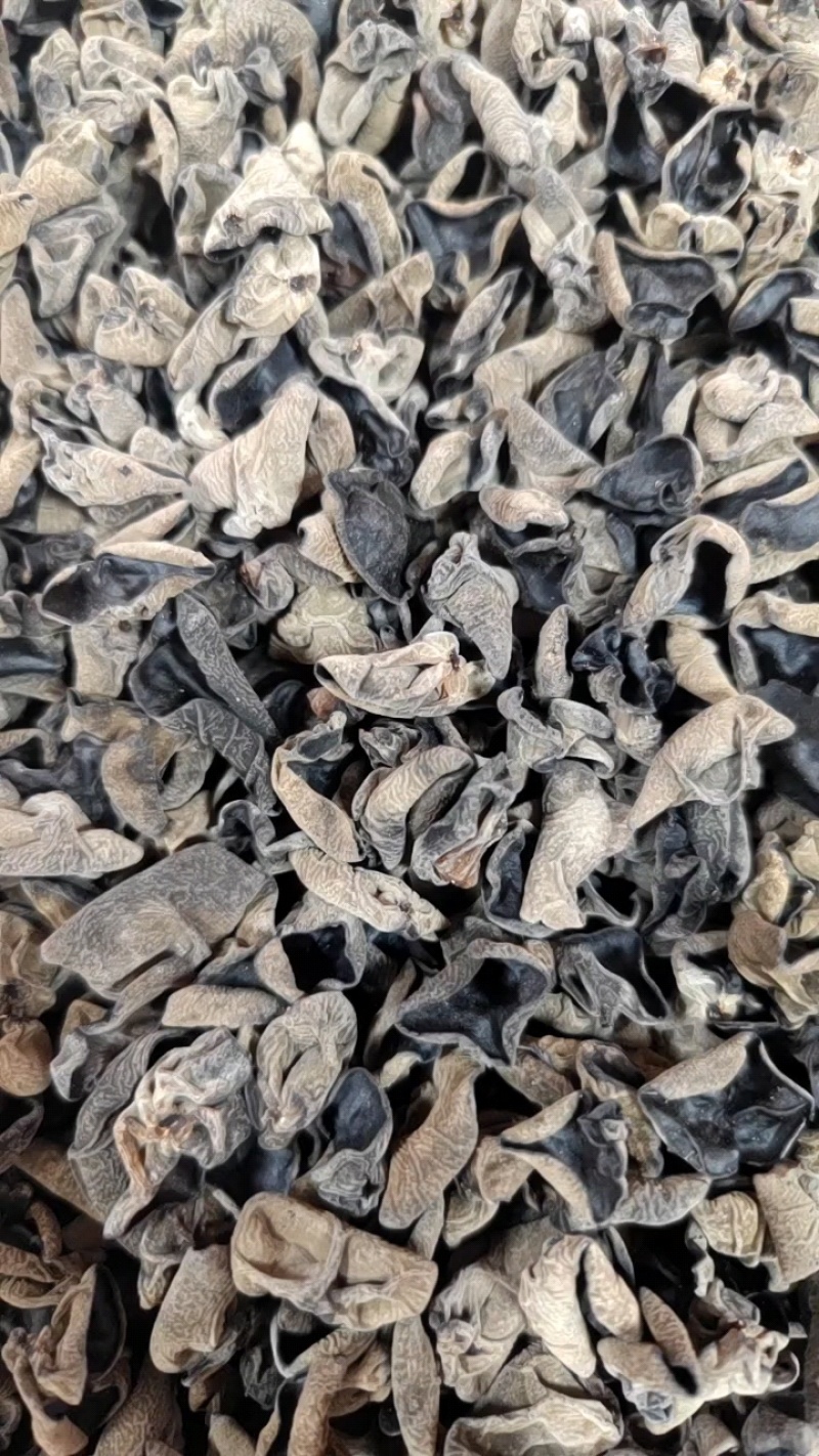 东北黑木耳干货批发秋木耳小碗耳木耳干货支持一件代发全国发