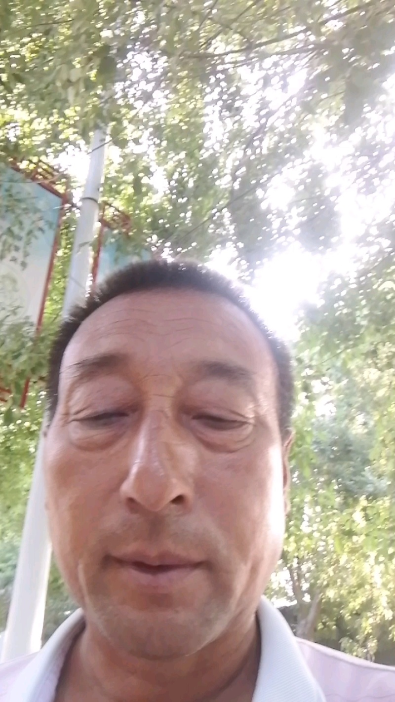 北京十四号桃