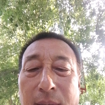 7月21河北饶阳皇冠梨七八两以上
