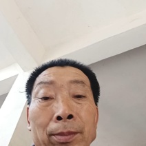 精品黑宝石李子口感好耐运输耐存现货供应