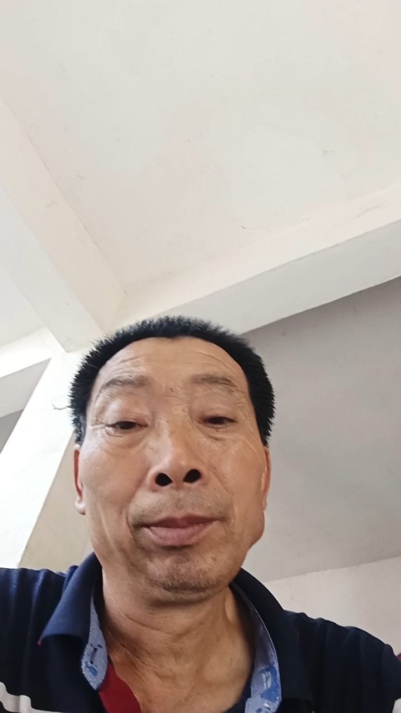 精品黑宝石李子口感好耐运输耐存现货供应