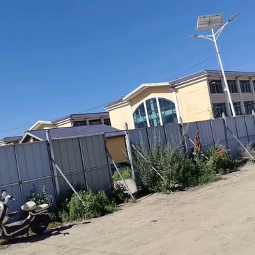 甘肃岷县原产地自产自销当归头片