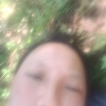 云南开伞松茸干片大量接单产地直发量大从优欢迎来电