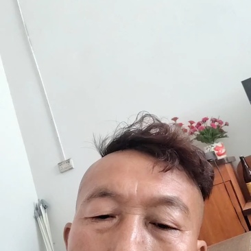 （优质甘蓝）大铁头，夏阳白饺子厂市场货，电商货，颜色好