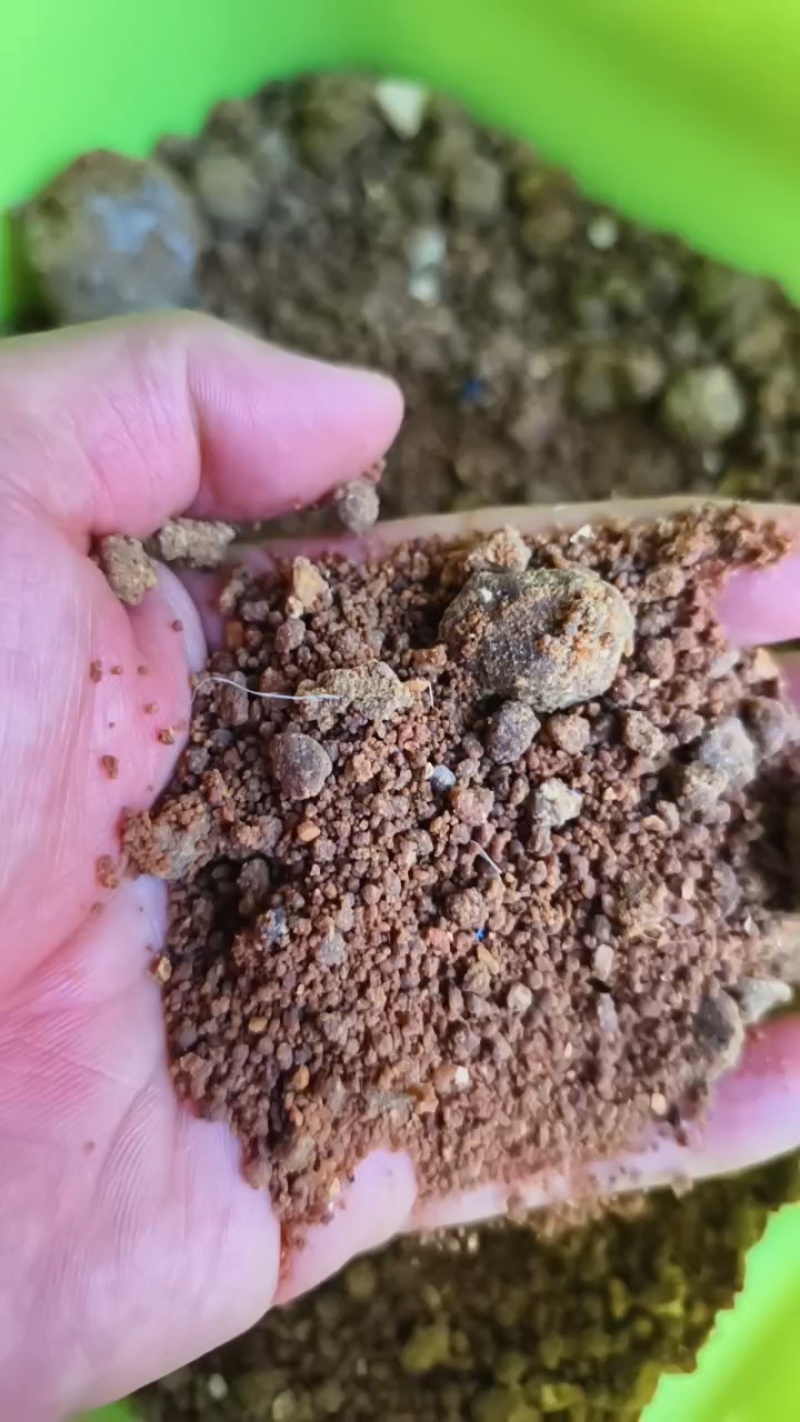 厂家直销动物蛋白牛脑羊脑蛋白53个，脂肪15个赖氨酸高！