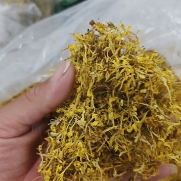 中药材金银花贵州自家产地直发无硫无霉无杂质市场货