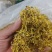 中药材金银花贵州自家产地直发无硫无霉无杂质市场货