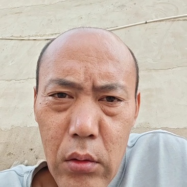 精品湿裙带菜盐渍裙带菜梗裙带菜叶量大从优源头工厂发全国