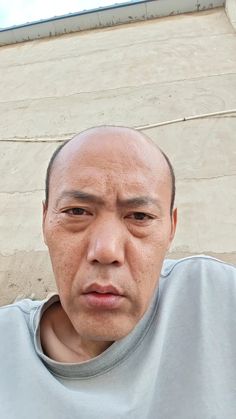 精品湿裙带菜盐渍裙带菜梗裙带菜叶量大从优源头工厂发全国