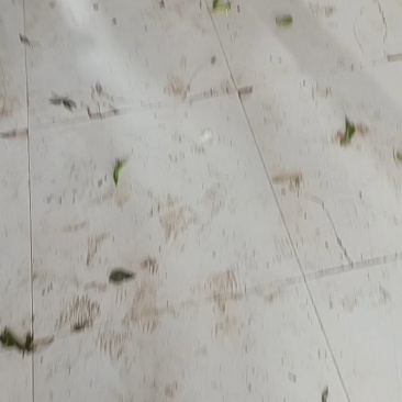 精品杭椒，大小杭椒都有，颜色绿，香辣，耐运输，按需分拣