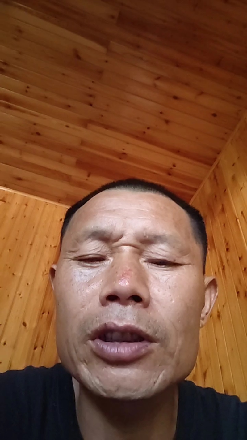 青脆李大量供应中一手货源量大从优对接市场档口