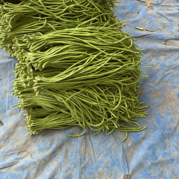 电商豆角青白产地直供量大从优可供商超可视频看诚信第一