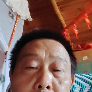 绿心猕猴桃1两二起步