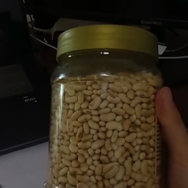 黄土高原非转基因肾型黑脐黄豆