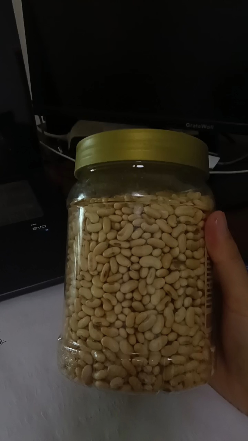 黄土高原非转基因肾型黑脐黄豆