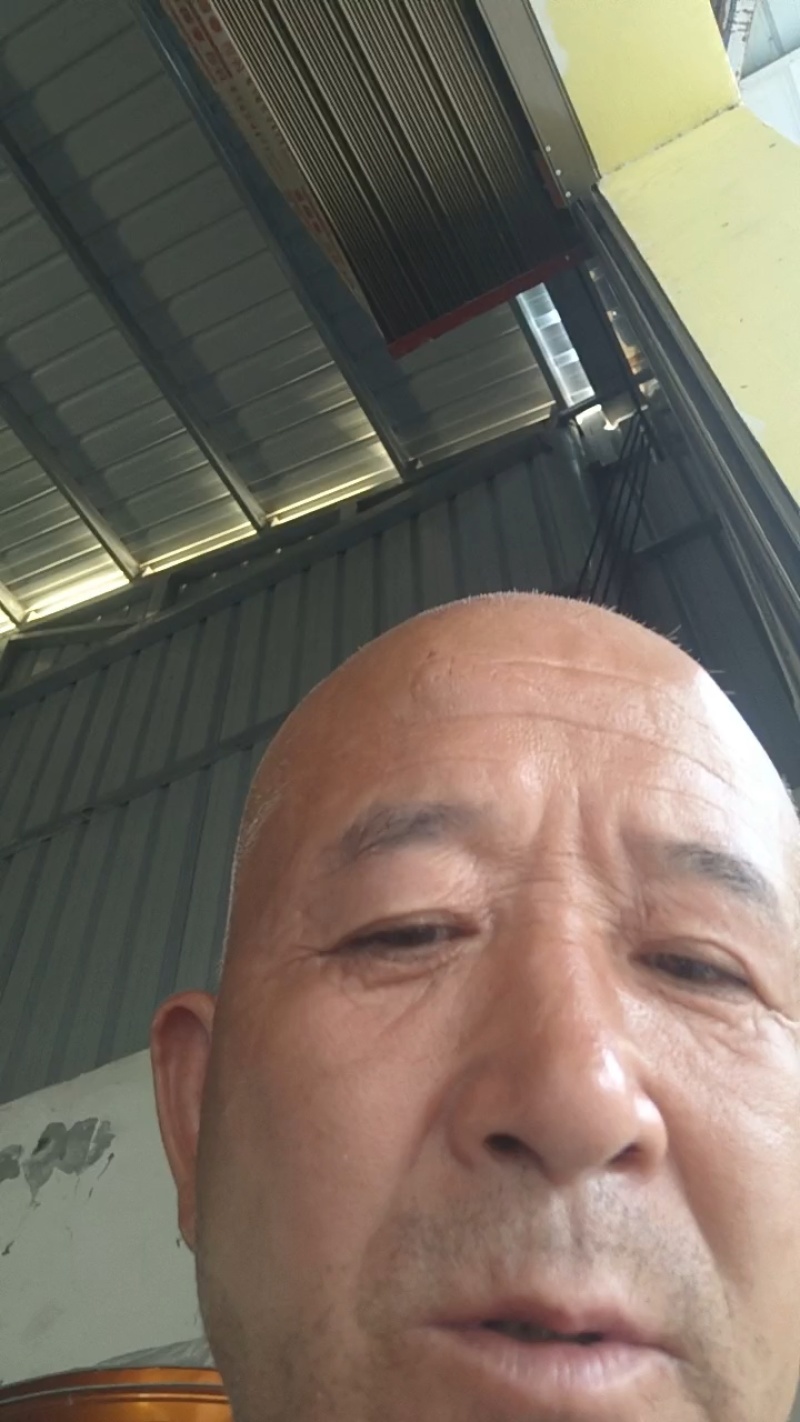万亩枣油三号珍珠油桃每日现摘车包运长期合作