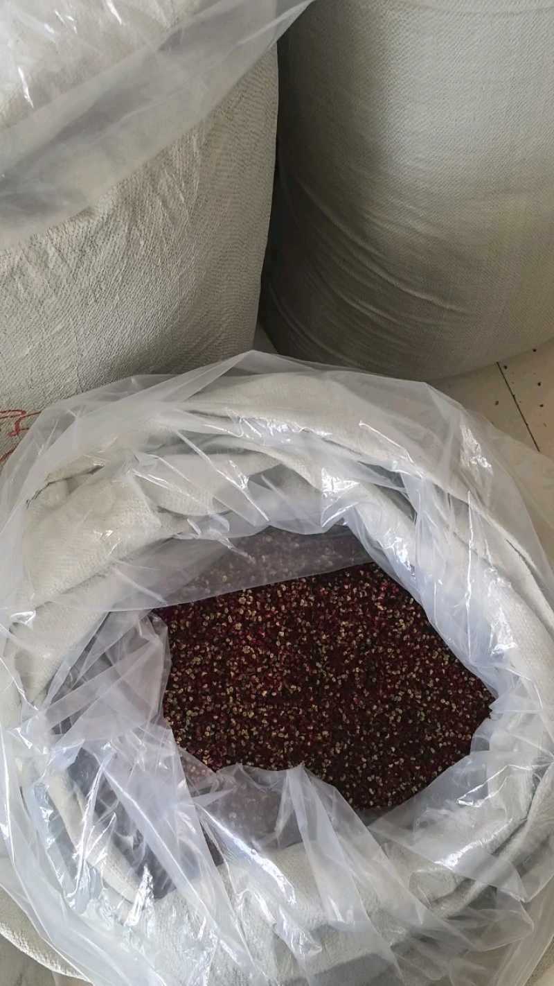 武都花椒