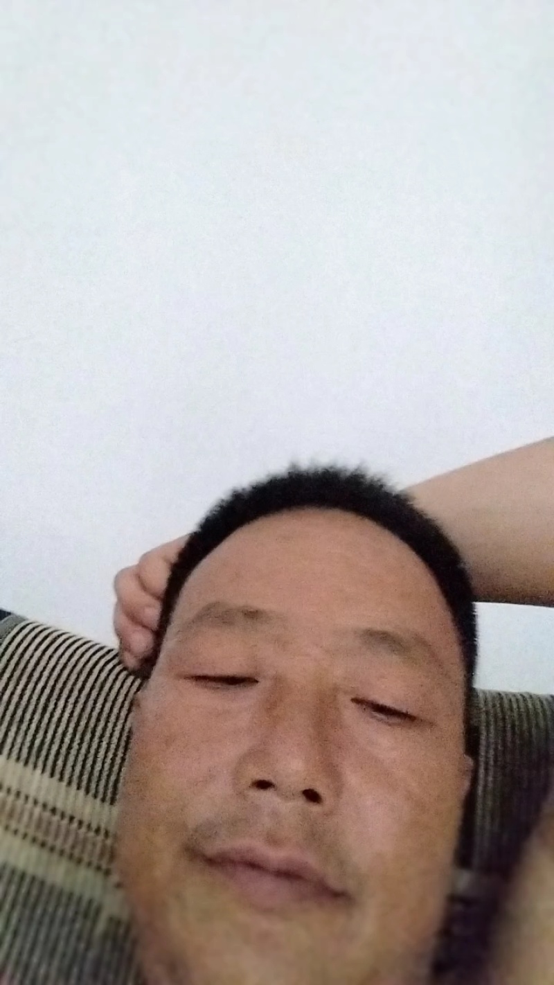 黑藻