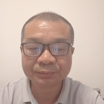 精品驯化四叶参种苗大量现货供应好种好管周期短见效快