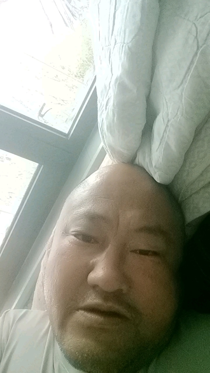 木薯淀粉木薯颗粒淀粉木薯粗粉。河北木薯淀粉颗粒。