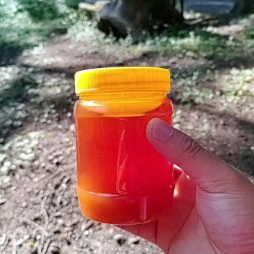 甘肃地标波美度42+土蜂蜜25项检测合格