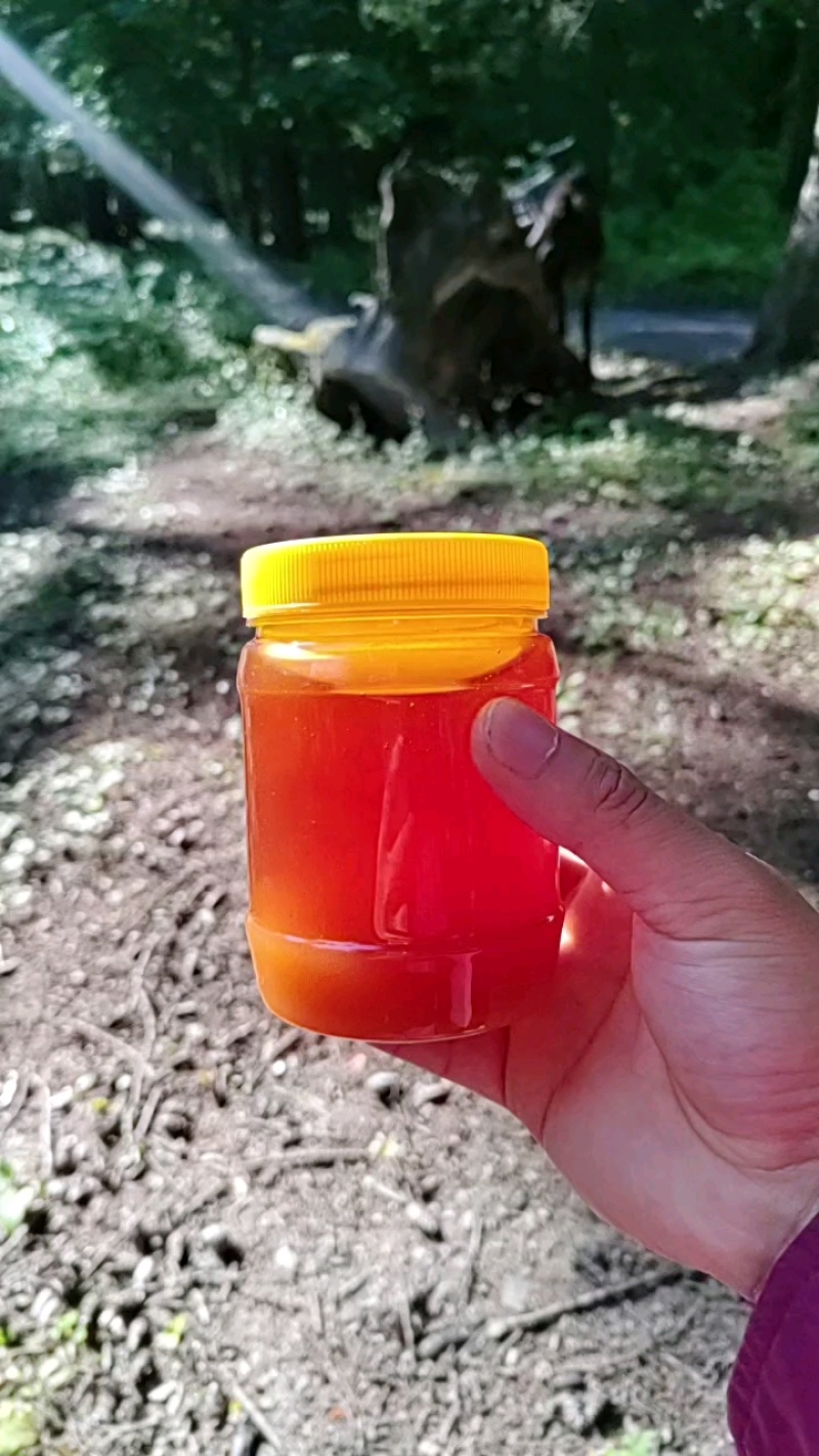 甘肃地标波美度42+土蜂蜜25项检测合格