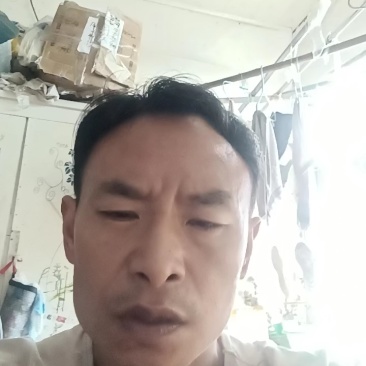 安岳柠檬尤力克新鲜柠檬现货大中小一二三级皮薄汁多质量保证