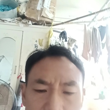 安岳柠檬尤力克新鲜柠檬现货大中小一二三级皮薄汁多质量保证