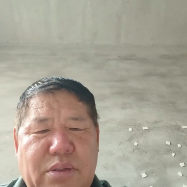 《推荐》新乡麦秸秆大量上市中!产地实发一手货源!!