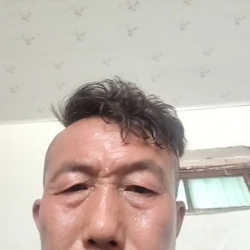 本地美都,皮薄汁多大红瓤,保质保量,产地直发一手货源