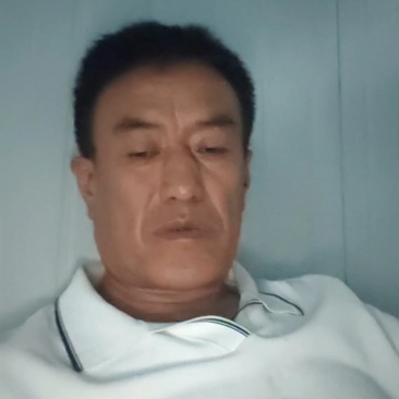 【海南蜜瓜】海南哈密瓜产地直发量大从优可视频
