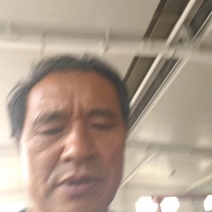 红贝贝太阳瓜，粉糯甜，货源稳定保质保量电商市场供应链直供