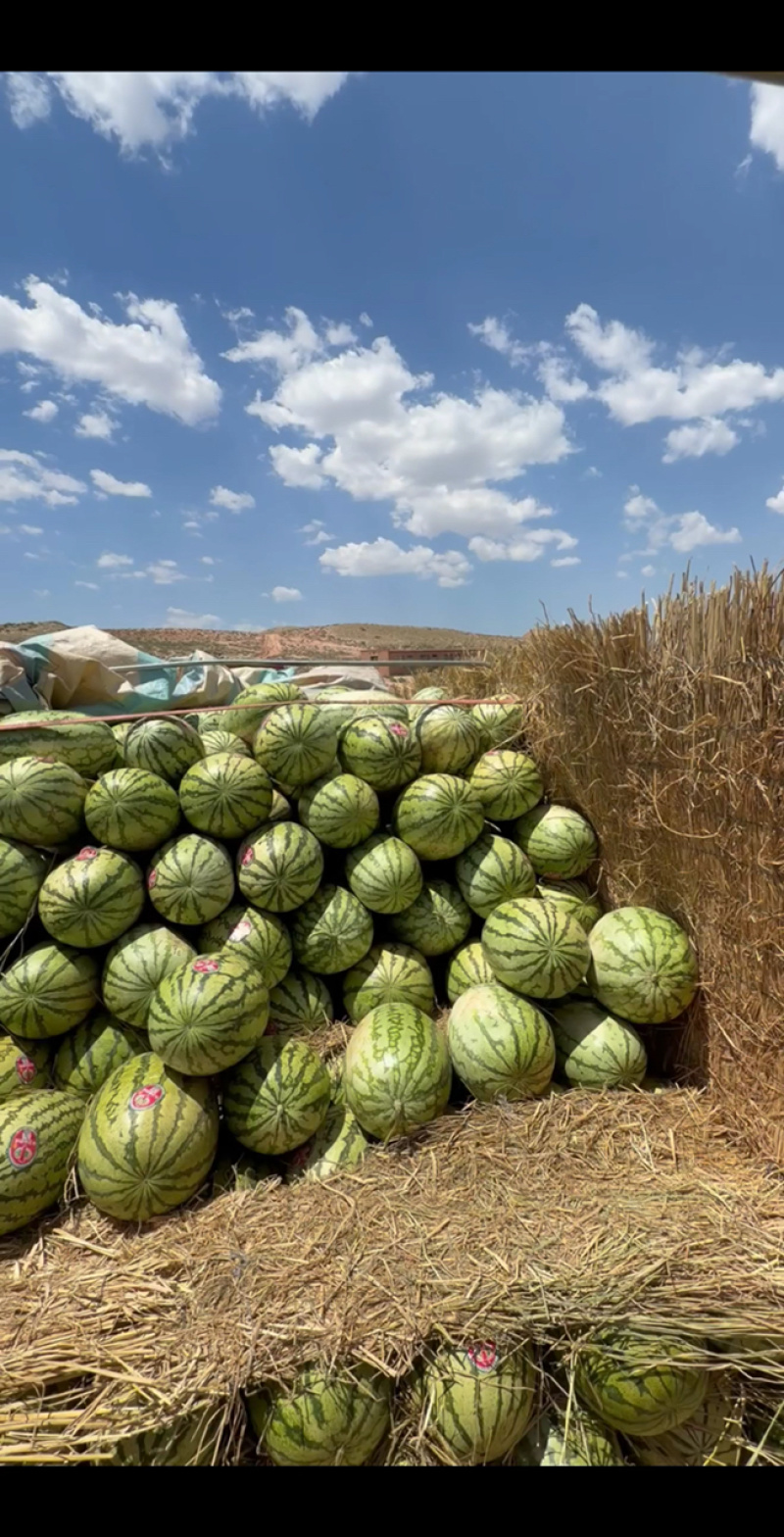 石头瓜，金城5号，口感暴甜多汁，大量供应