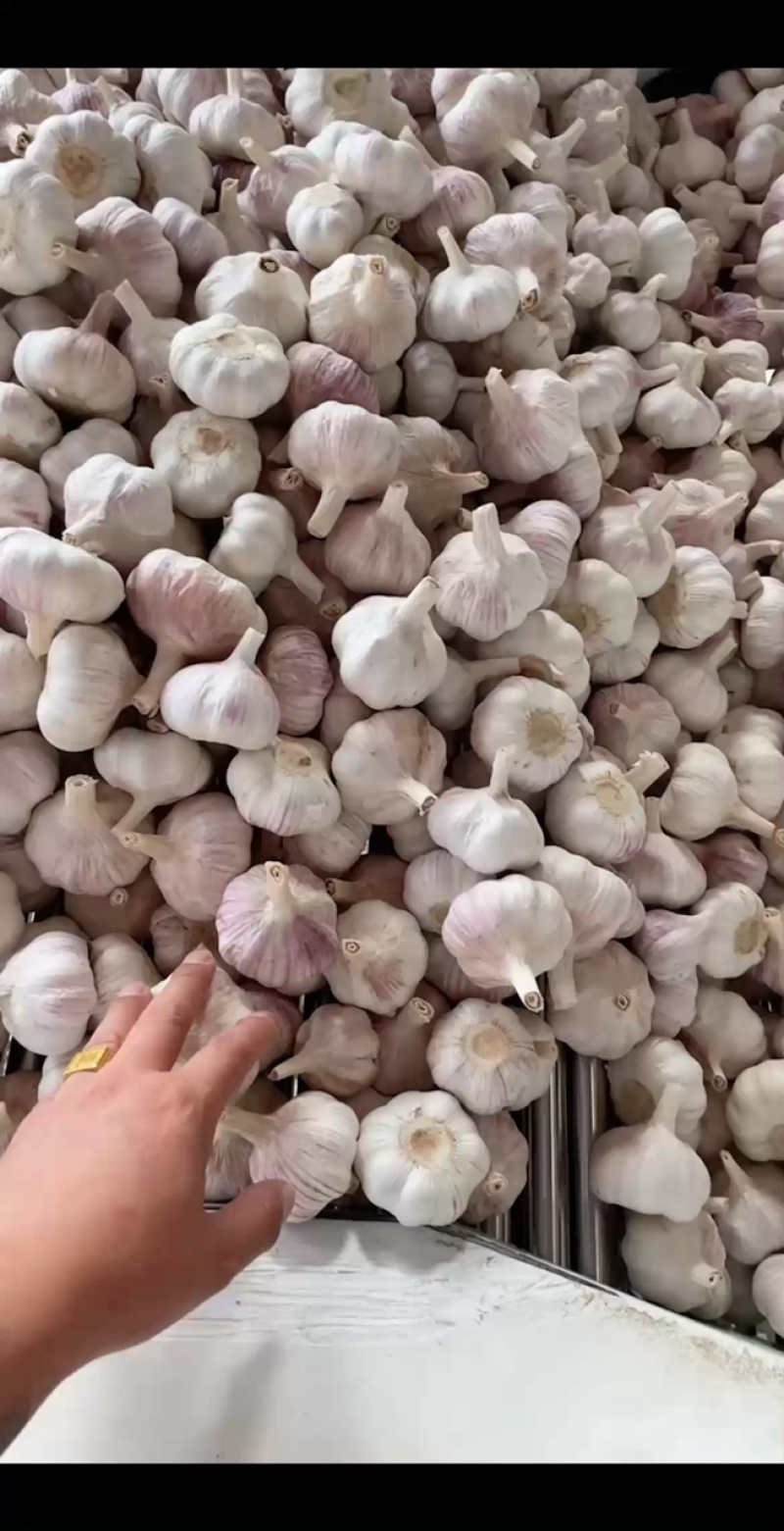 都是精品，今天主打漂亮好货