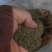 厂家直销酒糟，大厂家好质量