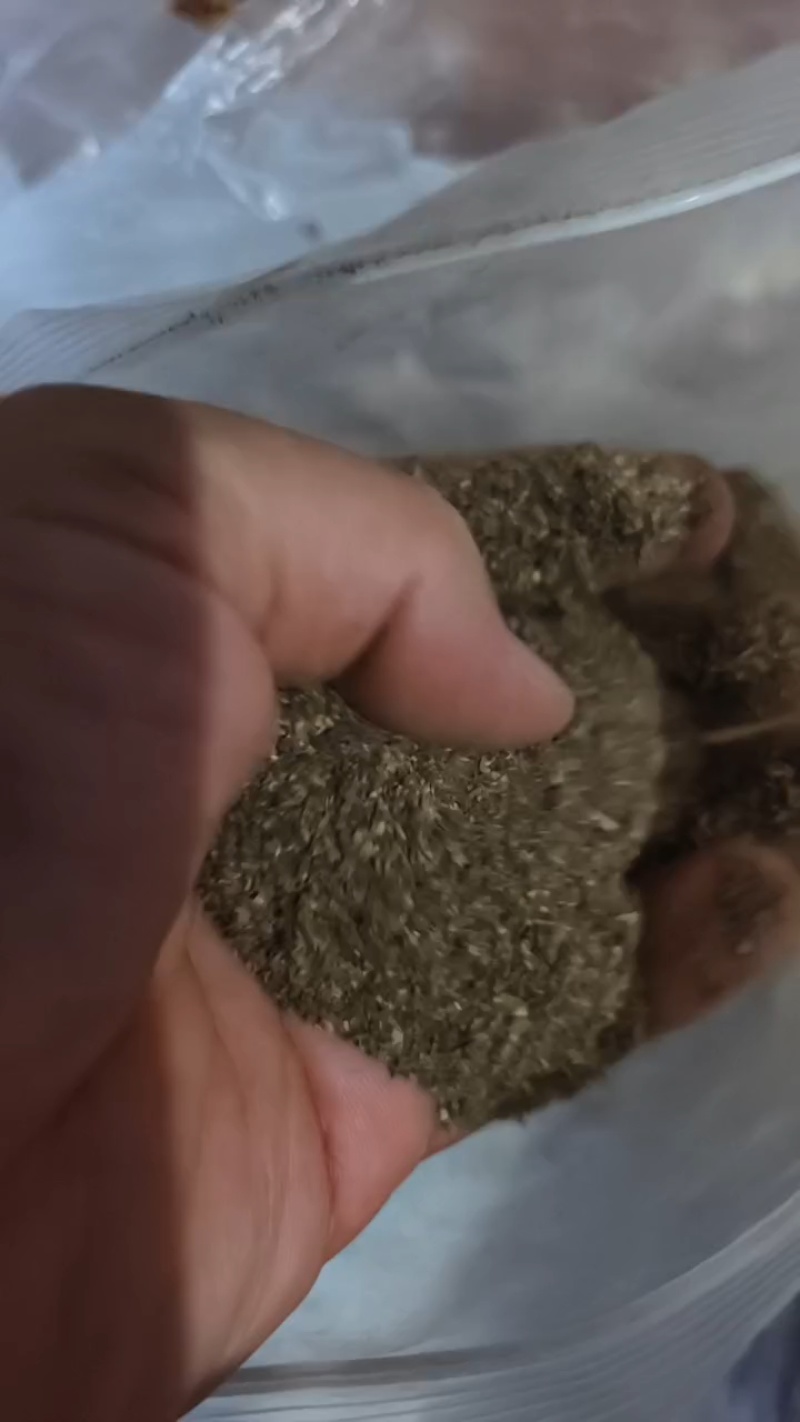 厂家直销酒糟，大厂家好质量