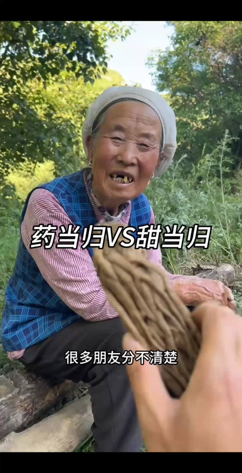 甘肃岷县当归大条整根产地批发无熏硫当季新货特级岷归