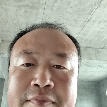 莘县硬粉西红柿产地一手货源诚信供应商超市**