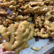 山东大黄姜，版型好看颜色蜡黄，产地直销，按需加工